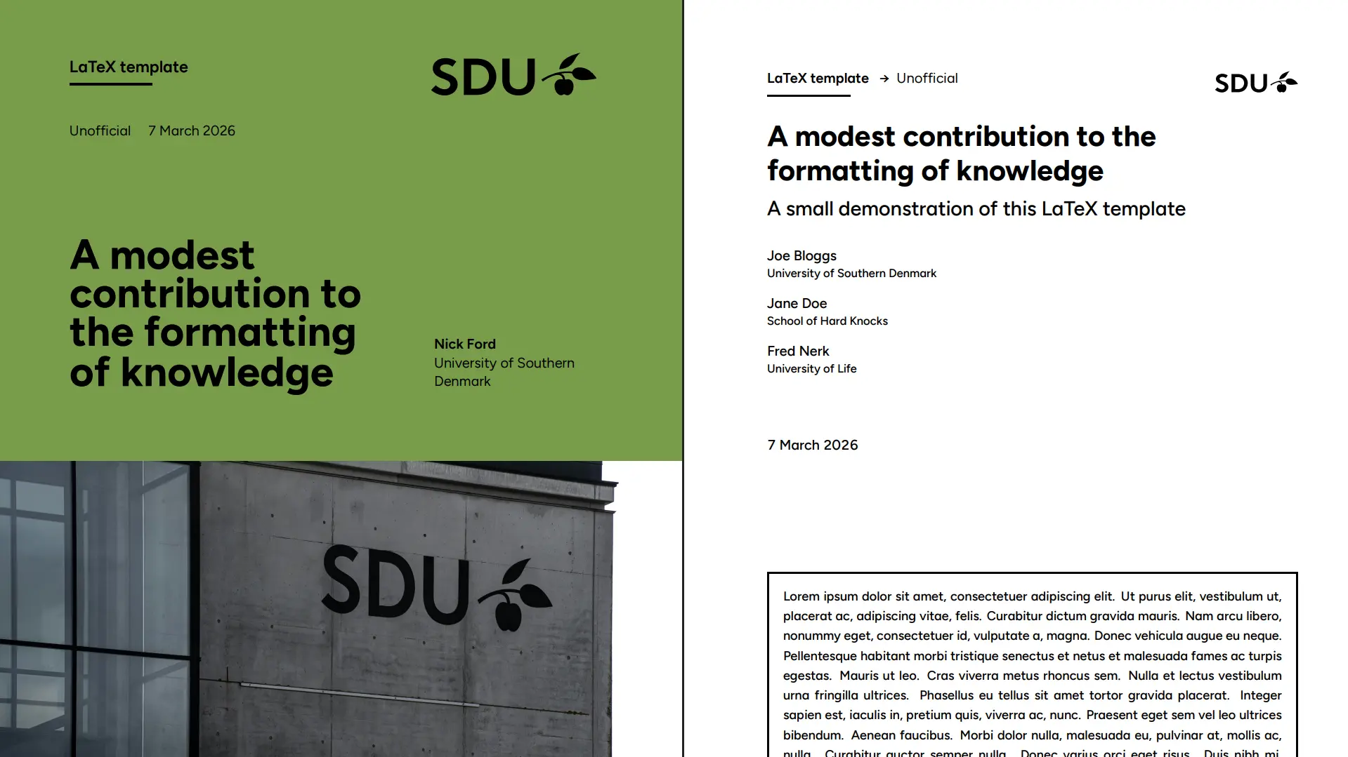 SDU LaTeX template